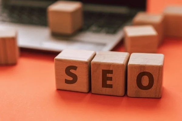 THE 2 BEST TYPES OF SEO YOU MUST NEED TO LEARN!